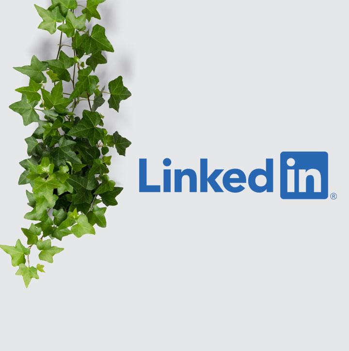 LinkedIn_720725