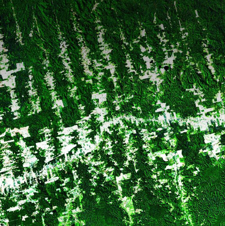 Sustainability_720725